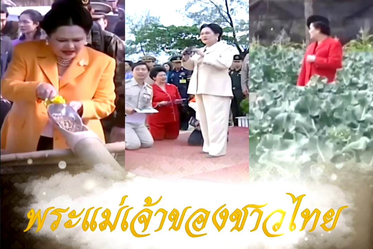 โครงการพระราชดำริฯ บ้านทุ่งจี้ ส่งเสริมอาชีพ ลดการตัดไม้ทำลายป่า