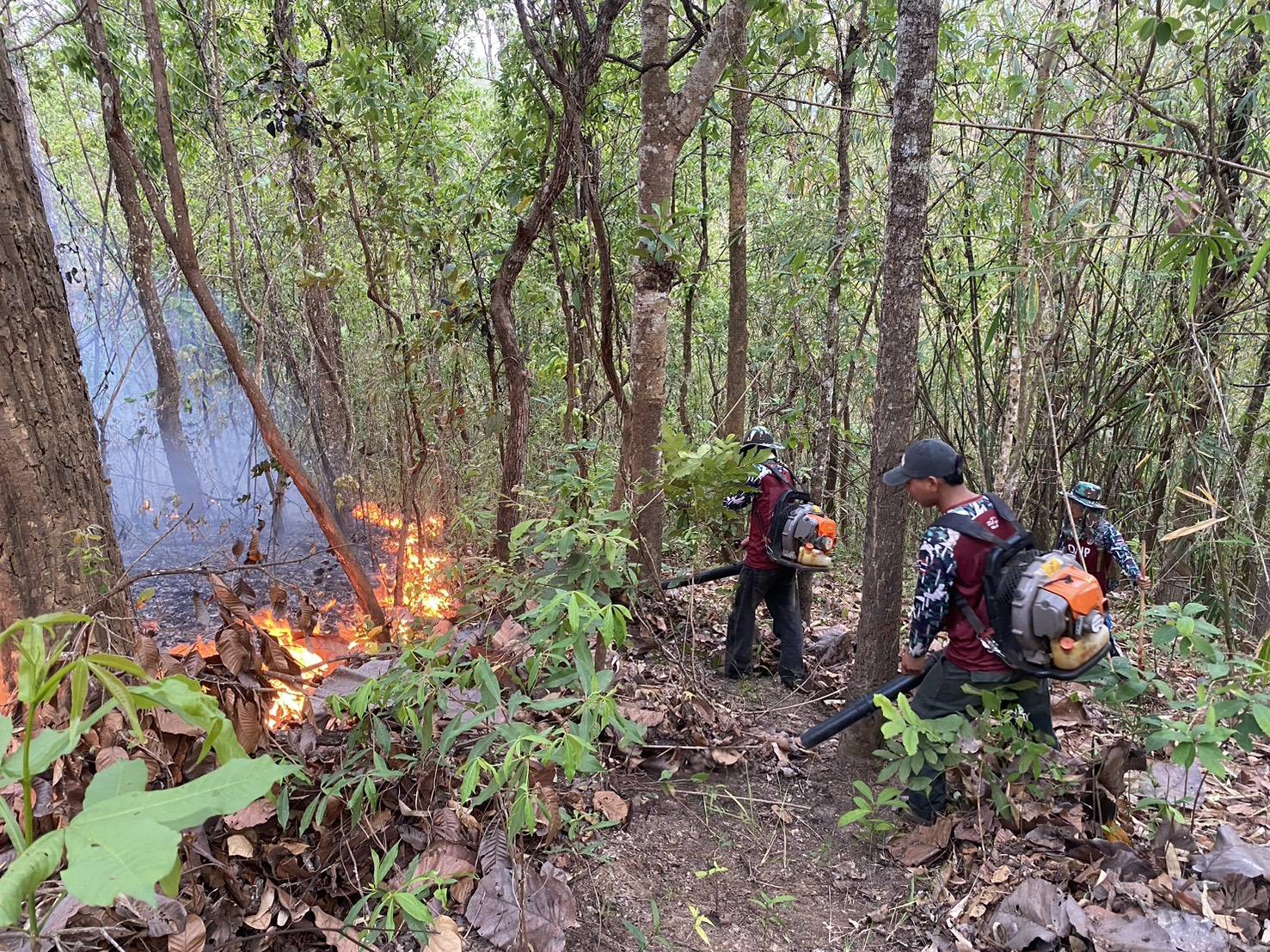 ะเมิงพบไฟป่า ป่าสงวนบ้านงาแมง เสียหาย 12 ไร่ เจ้าหน้าที่เร่งดับสำเร็จ