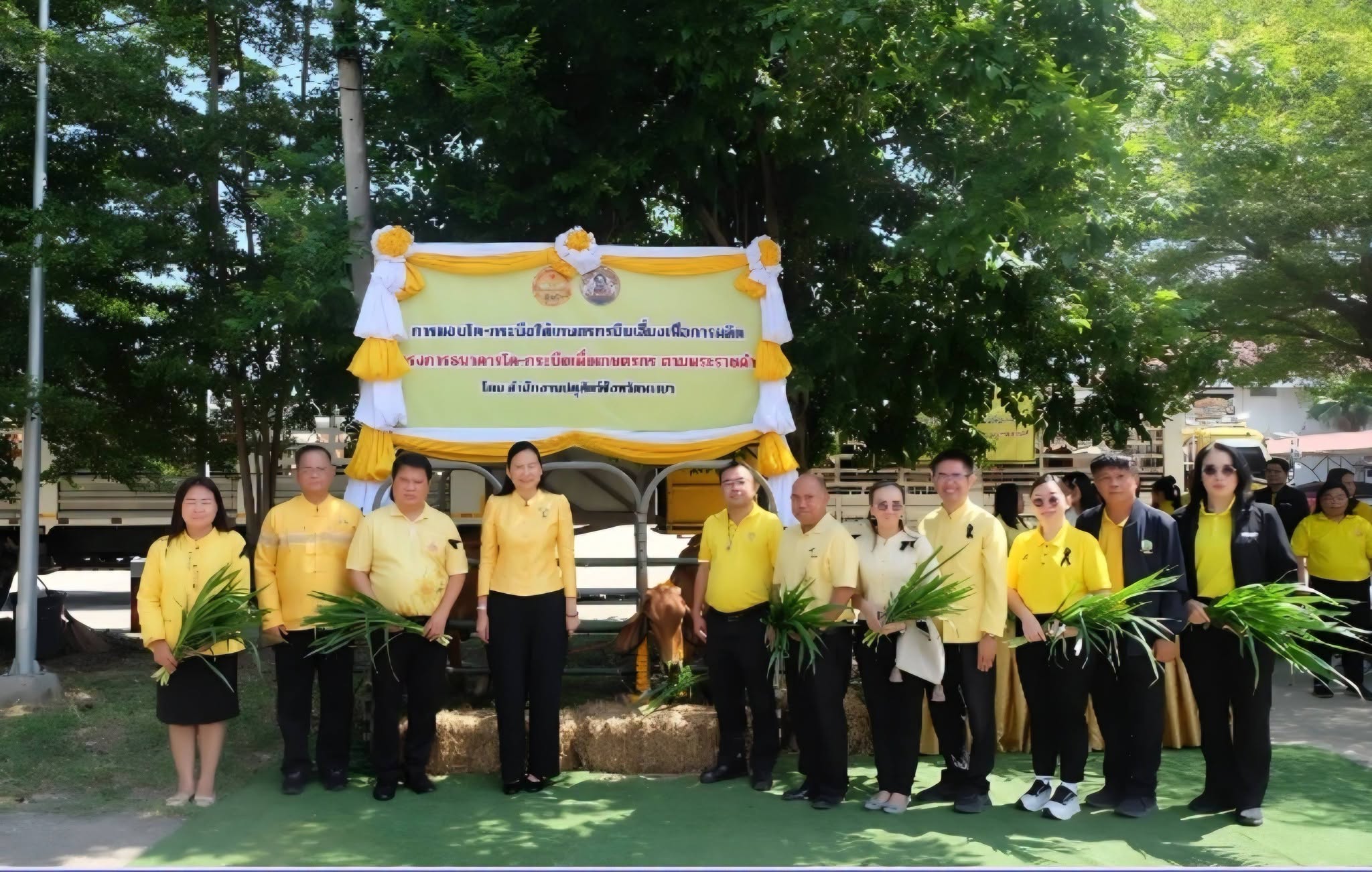 พะเยามอบโค 60 ตัว ช่วยเกษตรกร 30 ราย ตามพระราชดำริ เนื่องในโอกาสครบรอบ 50 ปี จังหวัดพะเยา